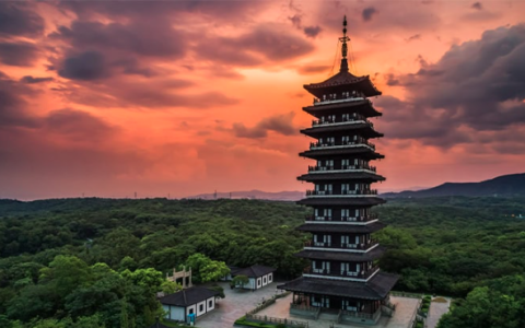 Asia’s Animal Feed Industry Enters New Era